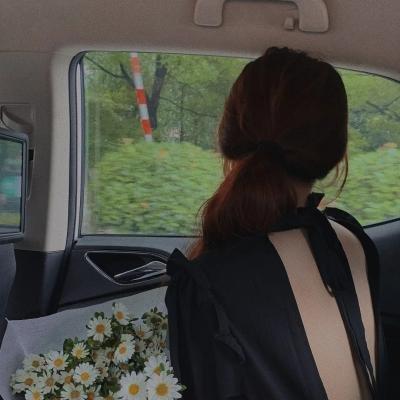 西行纪·动态漫